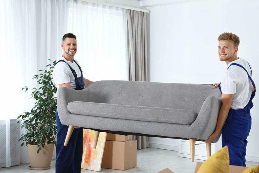 Elevate Your Living Space Today